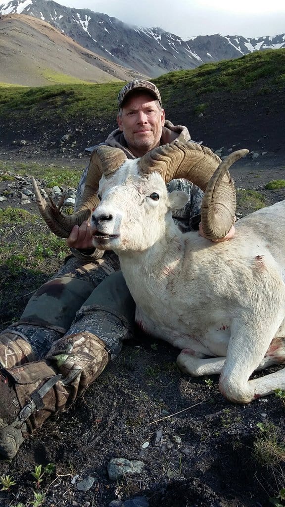 Alaska Dall Sheep Hunts Alaska Dall Sheep Hunt