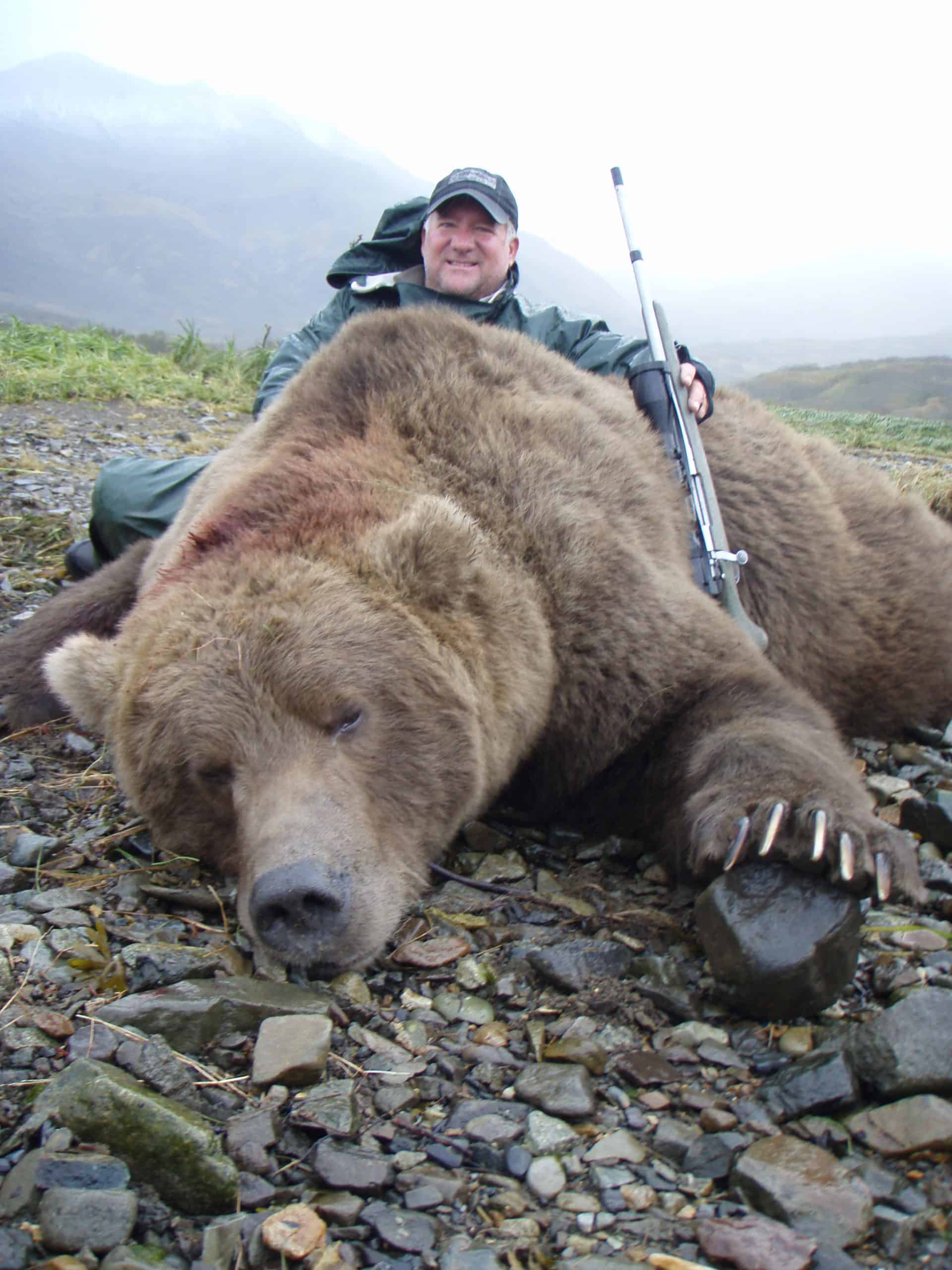 Alaska Brown Bear