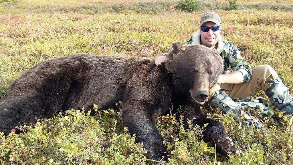 Alaska Grizzly Bear Hunts