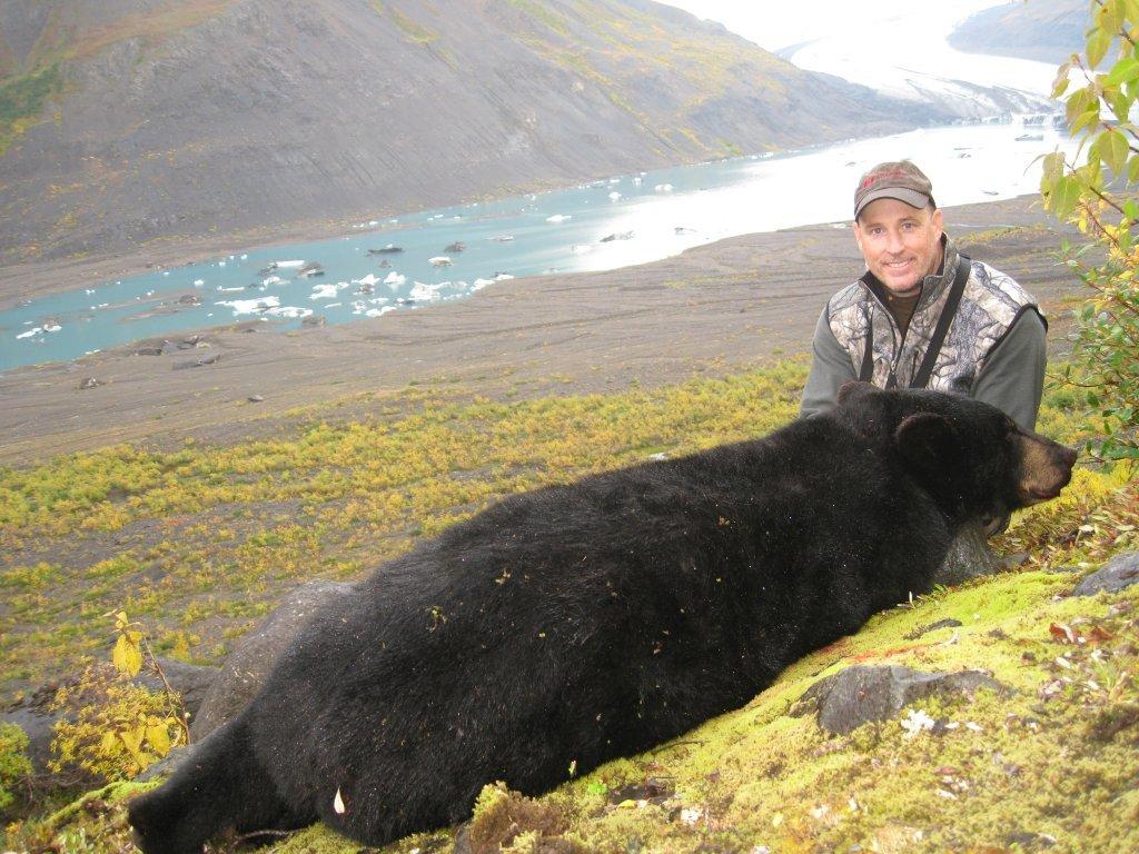 Alaska Black Bear
