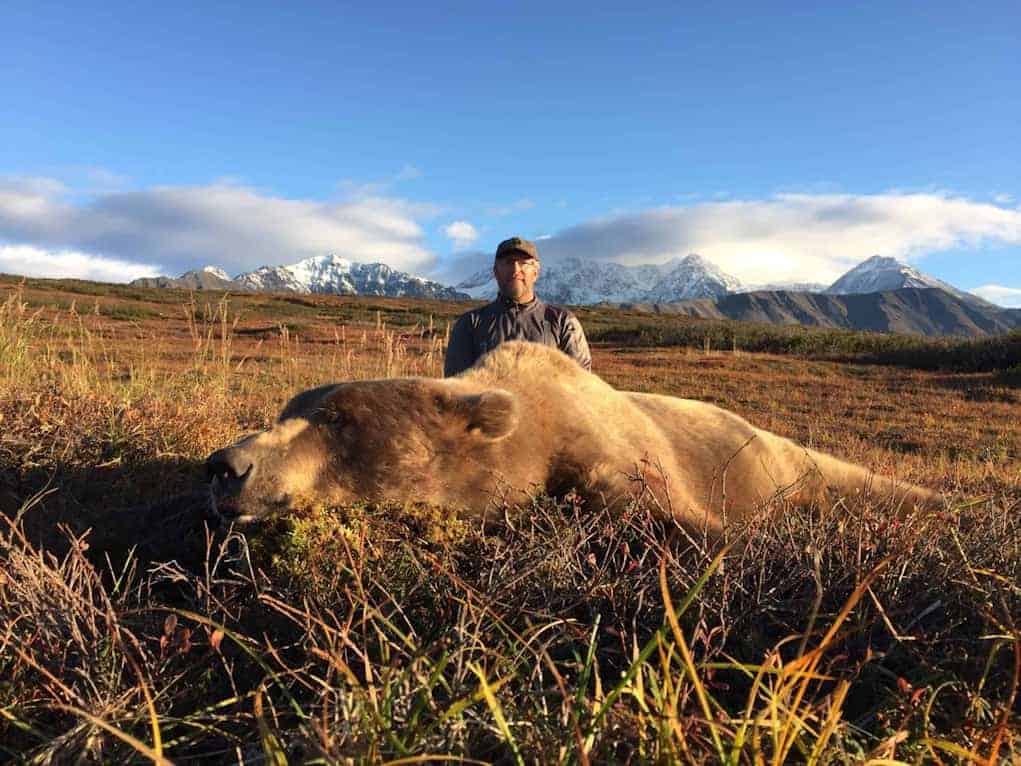 brown-bear Alaska Grizzly Bear Hunts