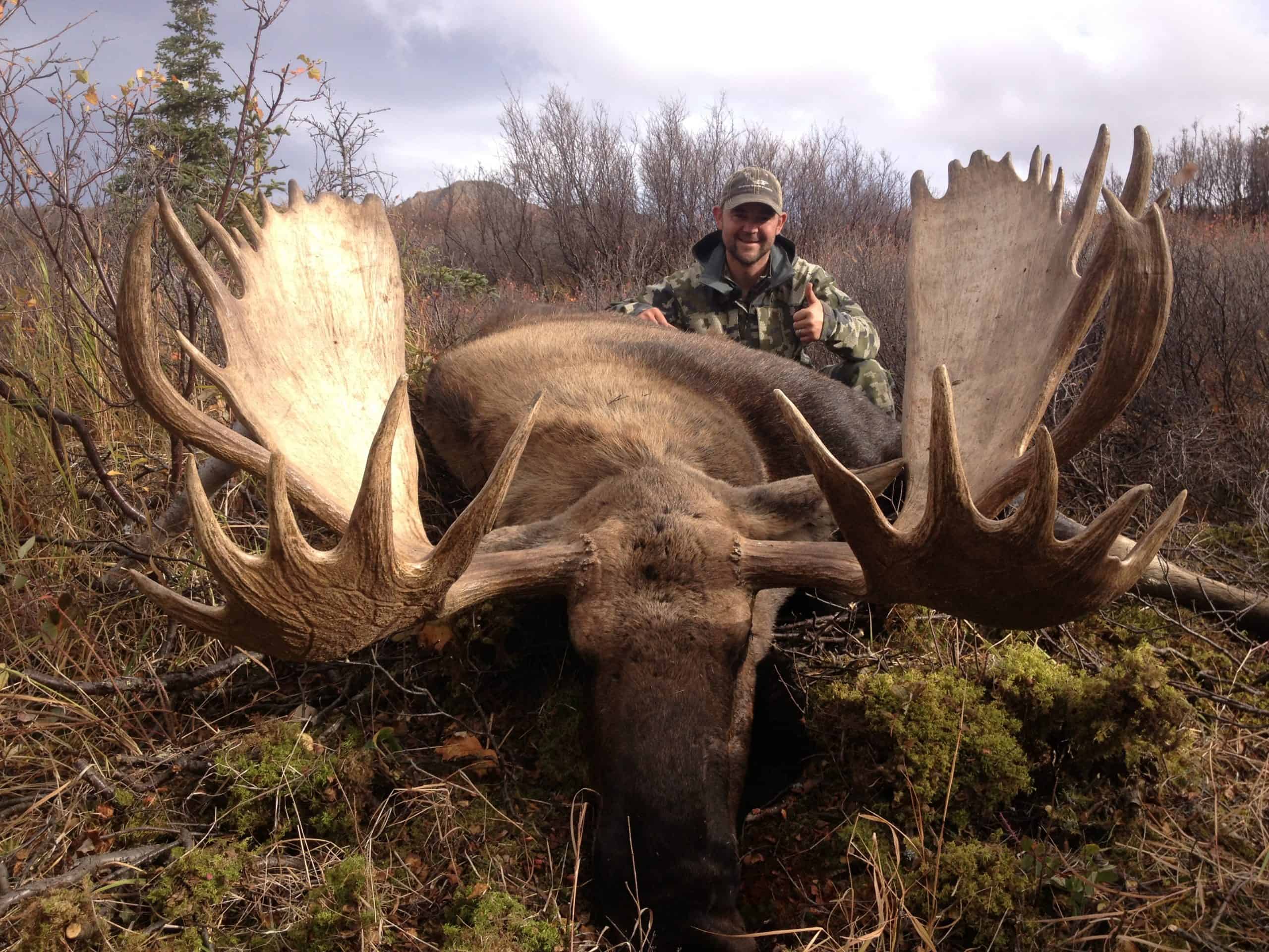 Alaska Moose Hunts Alaska Moose Hunt