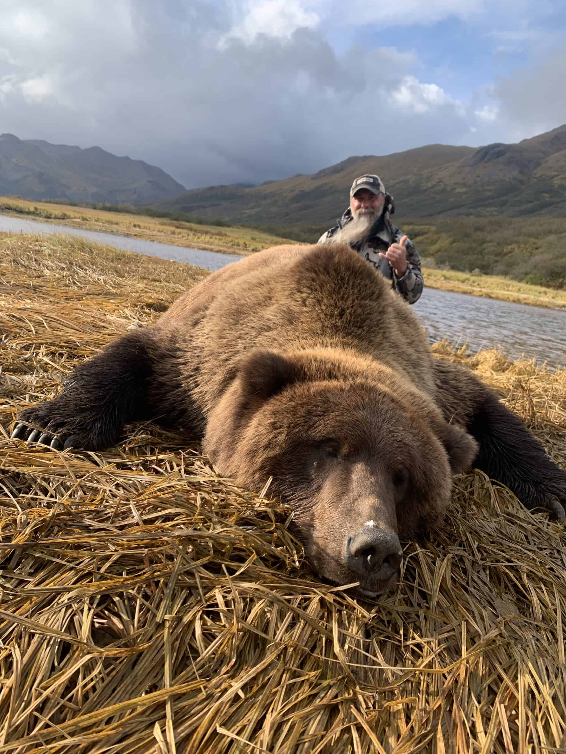 Fall 2021 Brown Bear