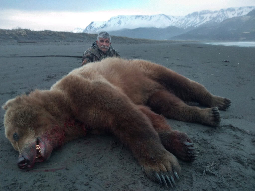 Fall 2021 Brown Bear
