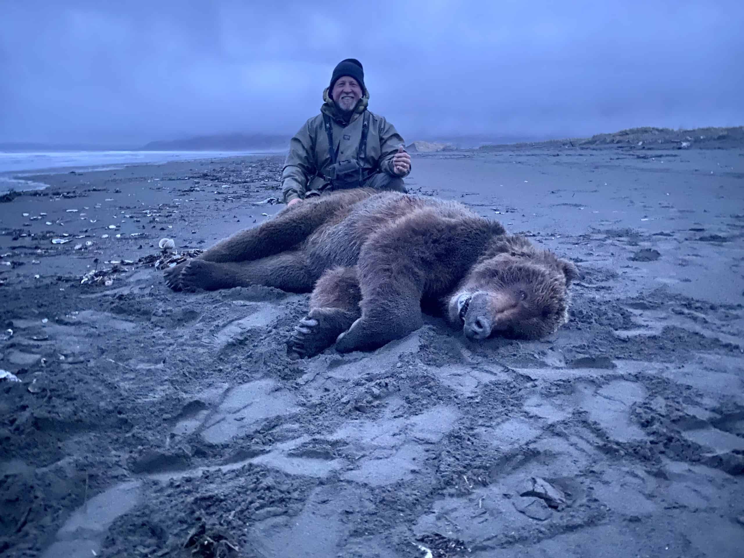 Fall 2021 Brown Bear