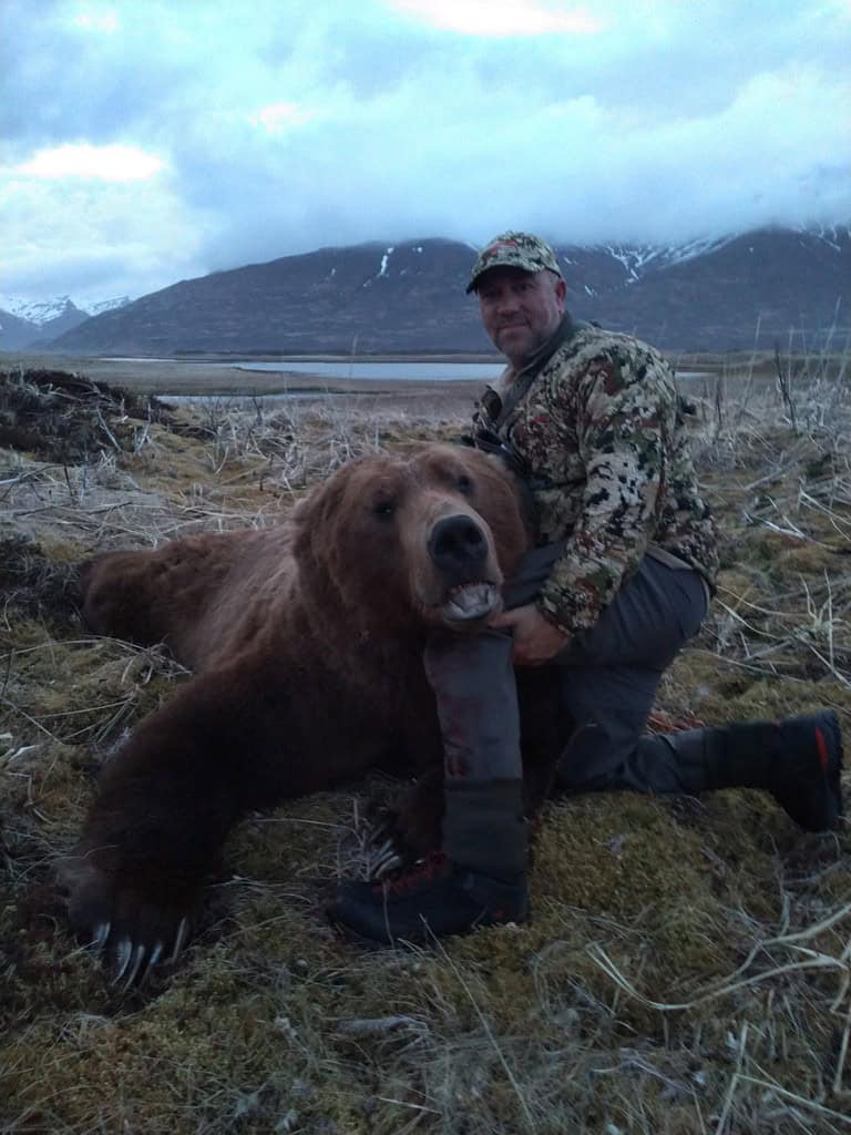 Fall 2021 Brown Bear
