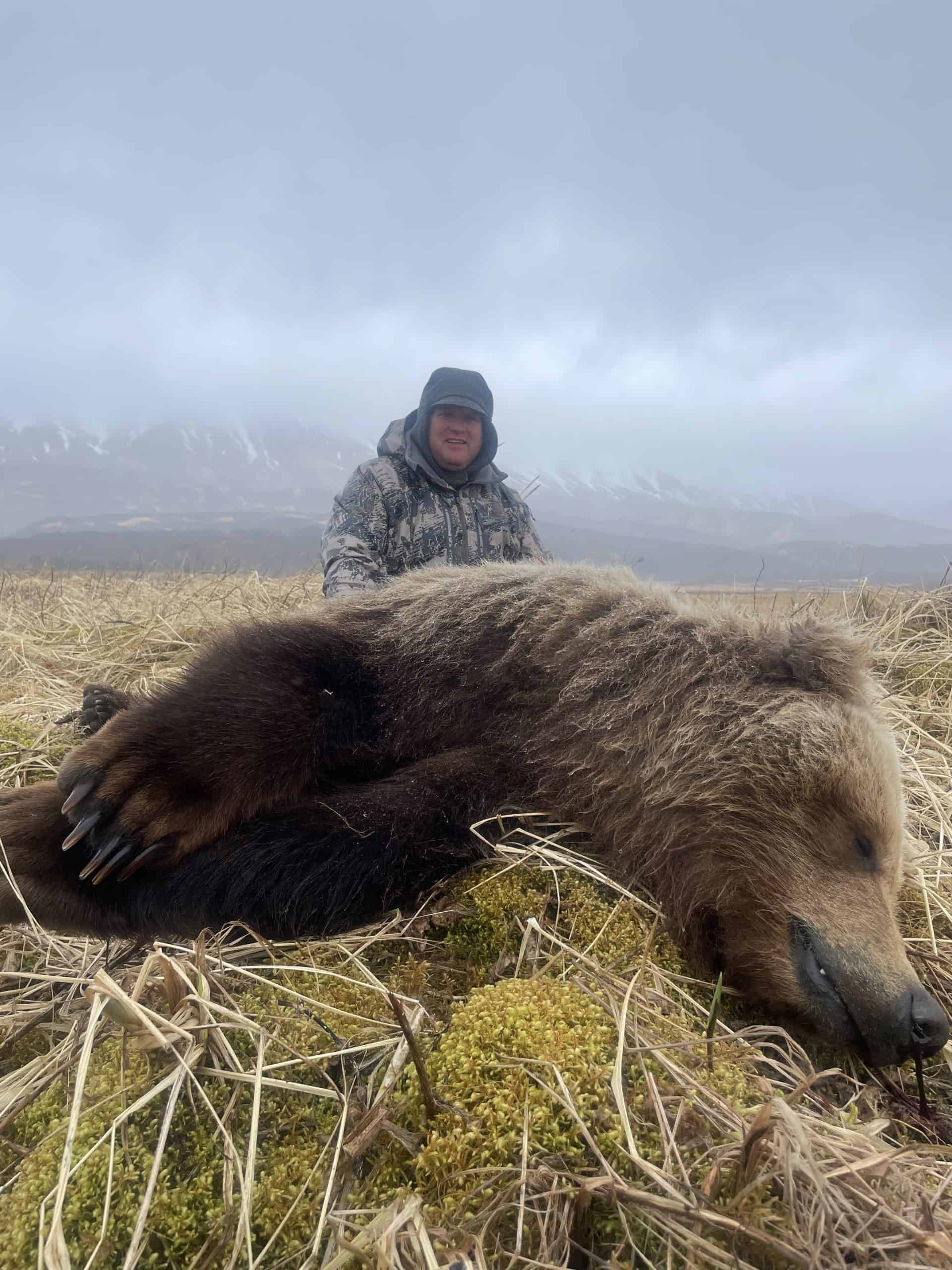 Fall 2021 Brown Bear