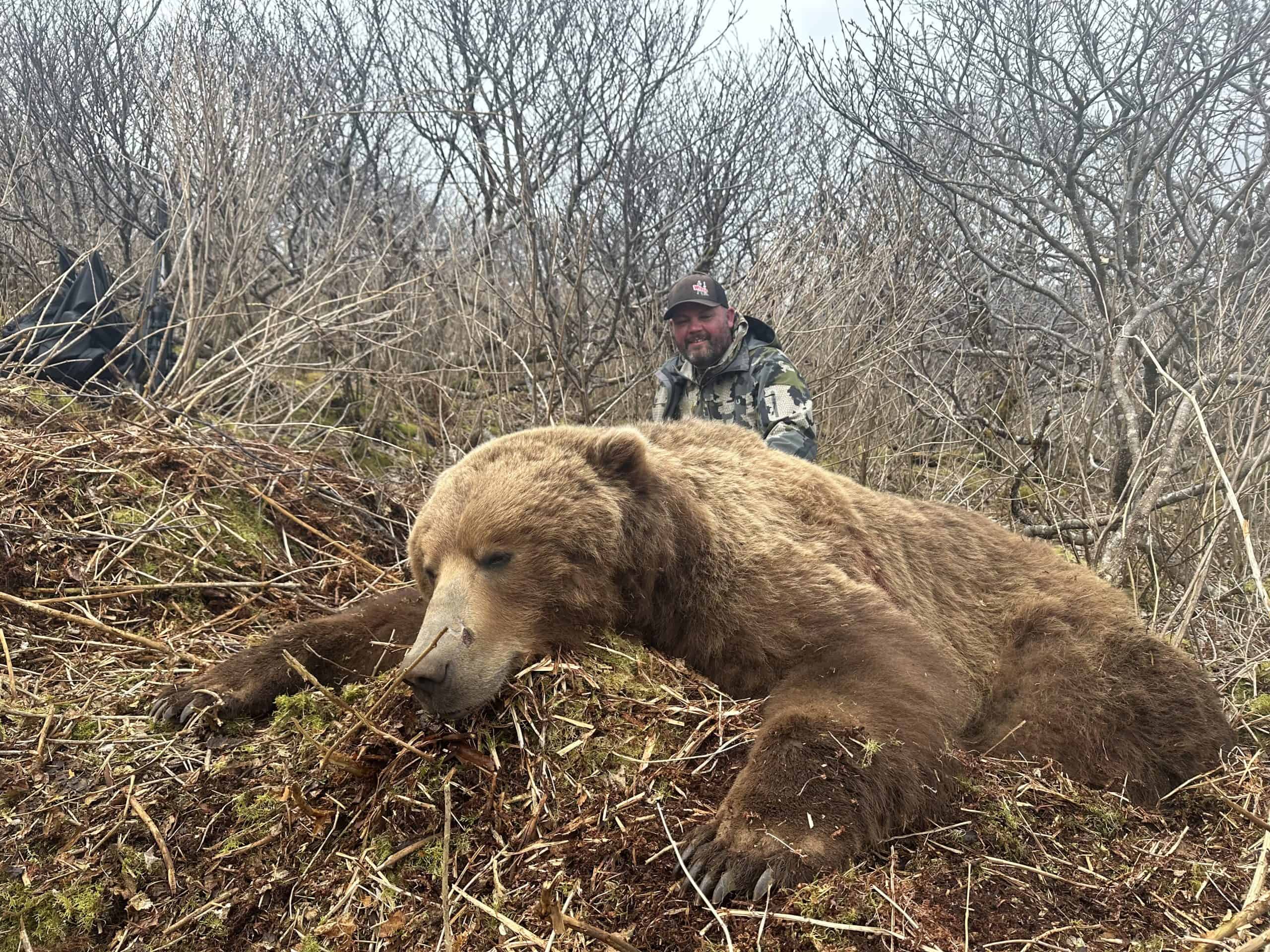 Fall 2021 Brown Bear